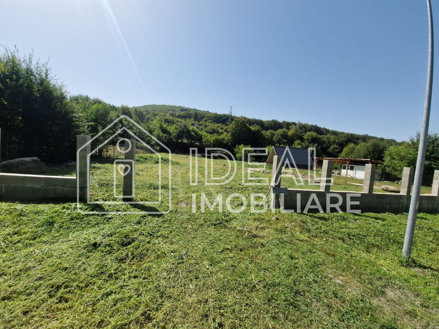 Teren extravilan 2.300 mp – Cârțișoara, județul Sibiu - Poză 2