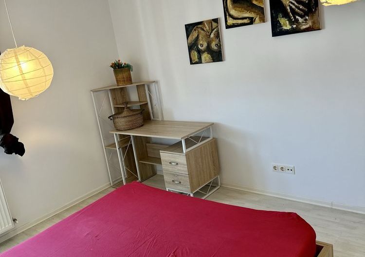 Apartament 2 camere de inchiriat, parcare inclusa- Valea Oltului - Poză 3