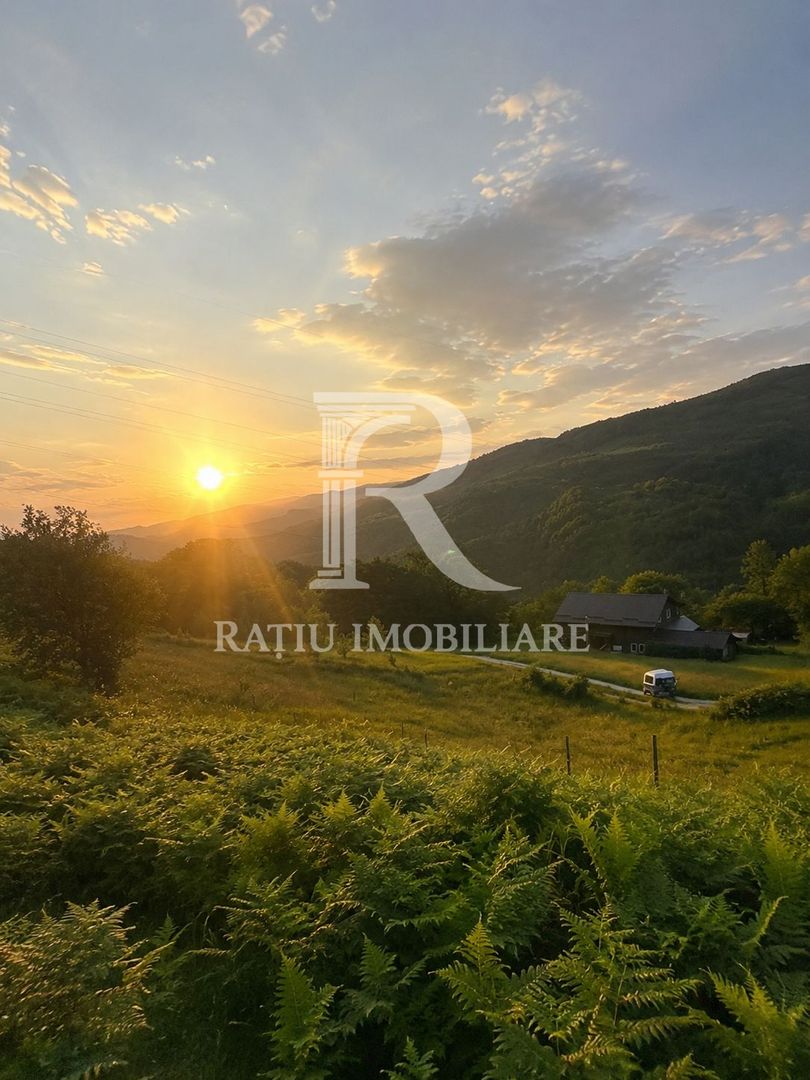 Teren 10.900mp | Panoramă în Apuseni | Remeți -Ideal pentru Investitii - Poză 1