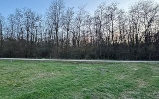 intravilan in vecinatatea palatului Snagov - Poză 3