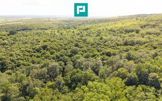 TEREN AGRICOL EXTRAVILAN  22.900 MP LIPOVA - Poză 11