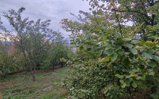 casa - 24 ari de teren - Valea Ghinzii - Poză 8