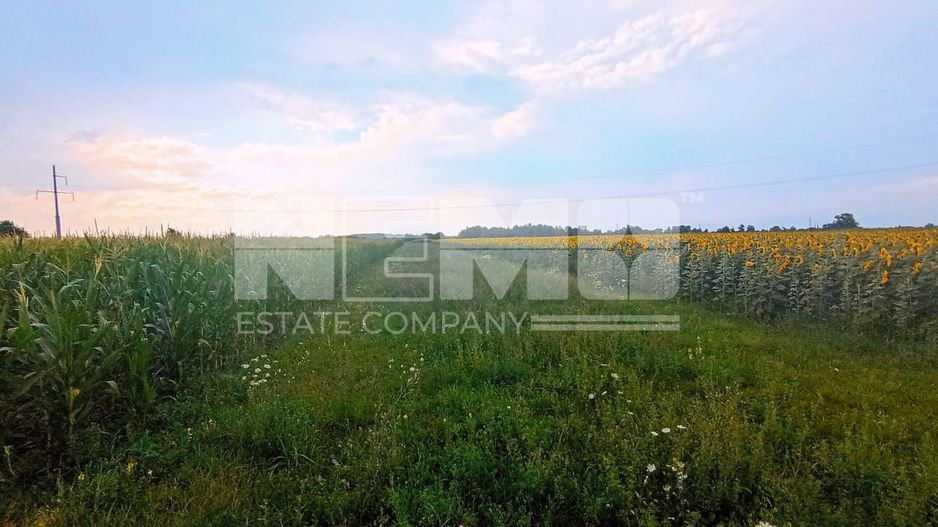 Teren extravilan de vânzare – 13 ari, deschidere la drum 7m - Poză 3