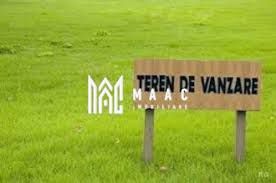 Teren intravilan | 1000 mp | Tocile - Poză 2