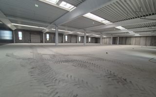 HALĂ INDUSTRIALĂ MODERNĂ DE VANZARE| CHITILA | ACCES RAPID CENTURA - Poză 6