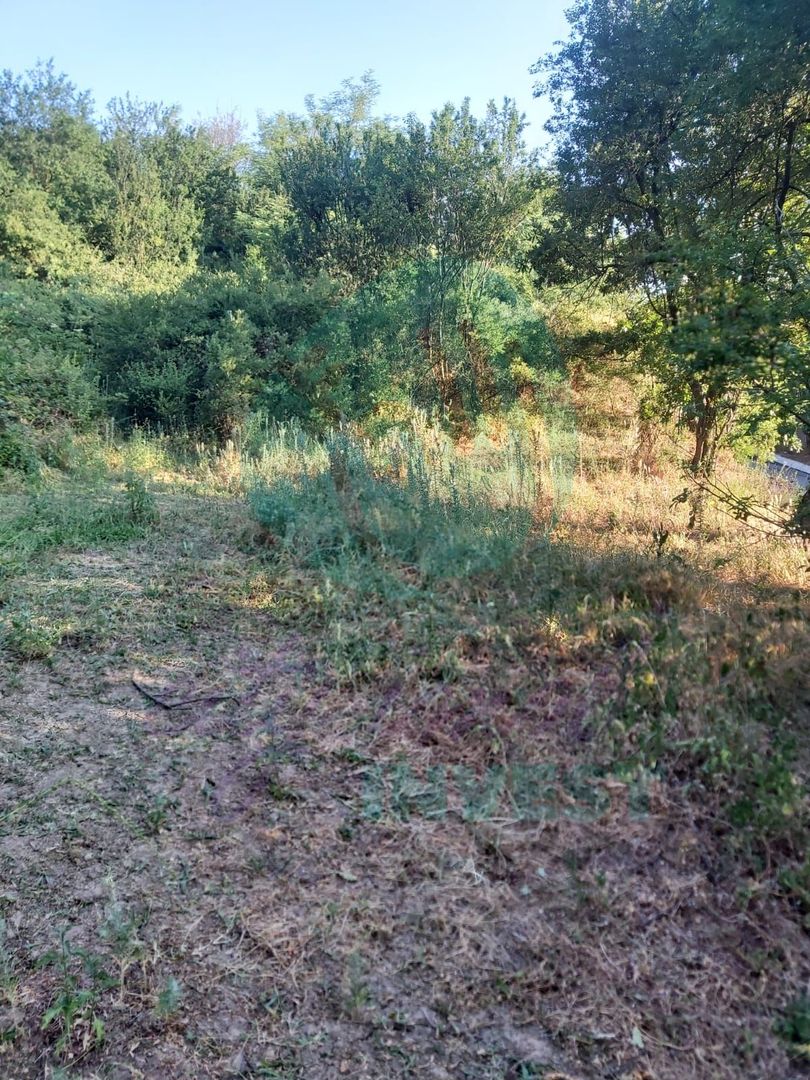 TEREN 1690 MP - ORAS STREHAIA - Poză 8