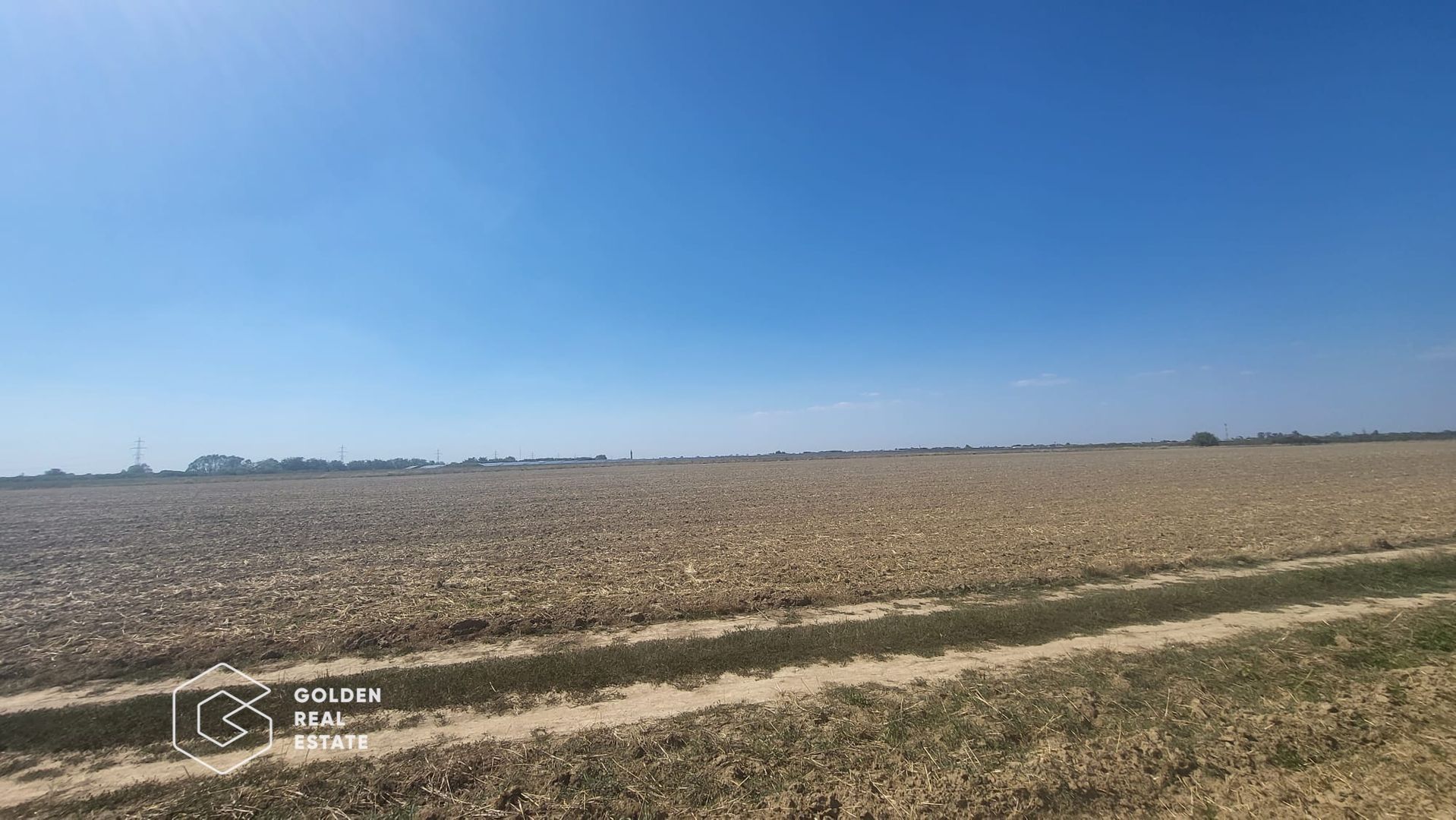 Teren Mosnita Noua, 11600 mp - Poză 2