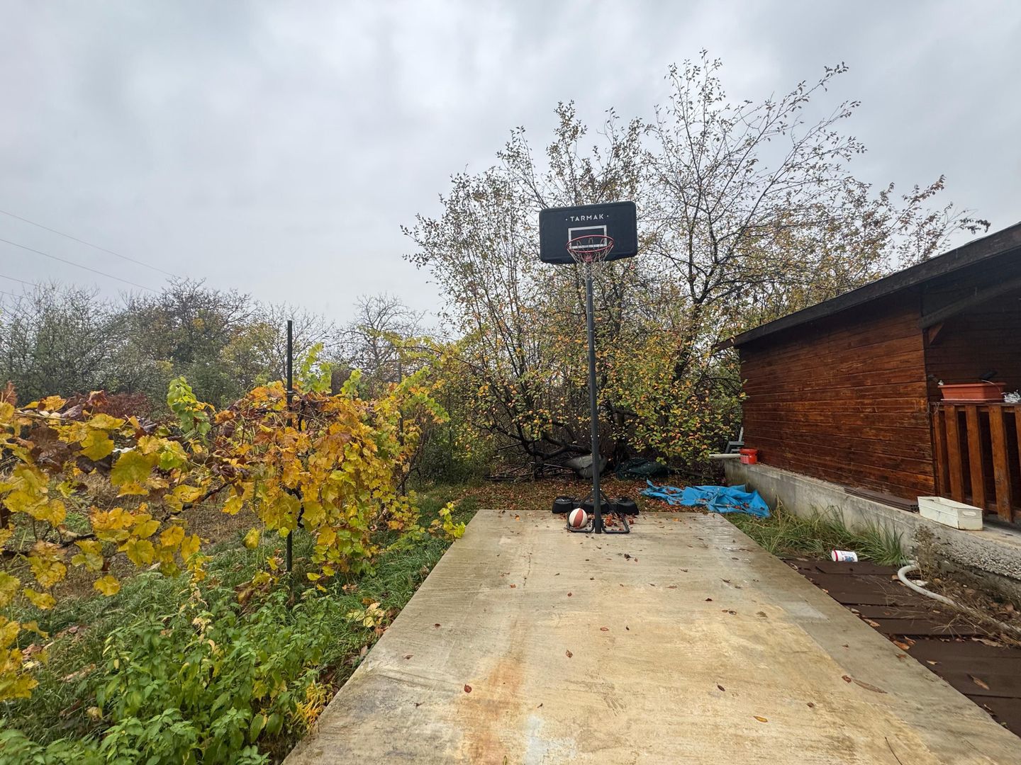 COMISION 0% | 2 Case Individuale | Zona Freidorf | 5 Camere | - Poză 20