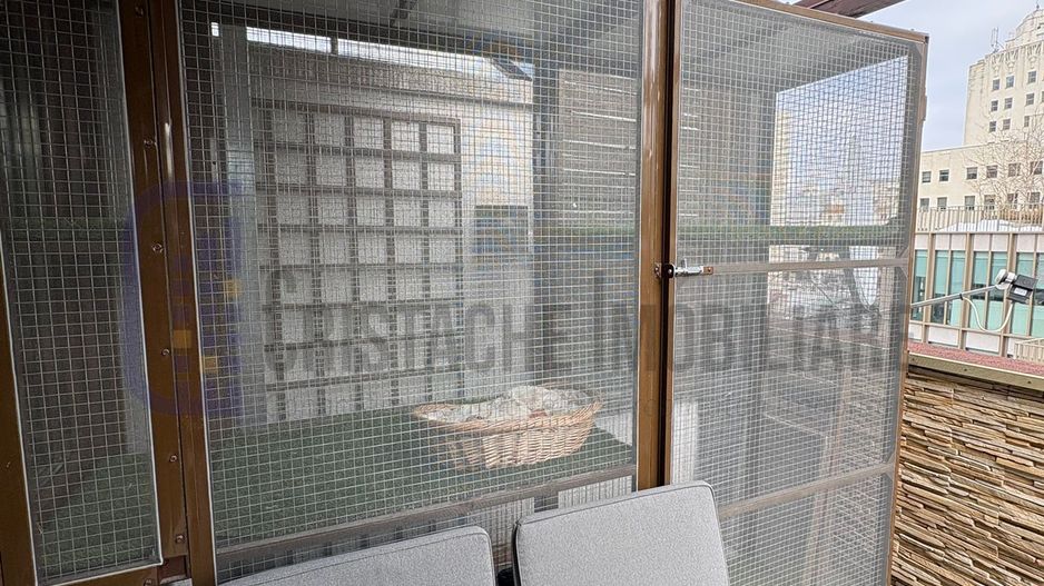 Pet friendly Calea Victoriei, 3 camere + terasa + boxa - Poză 20