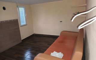 BRASADAS vinde casuta de vacanta in Ardud. - Poză 4