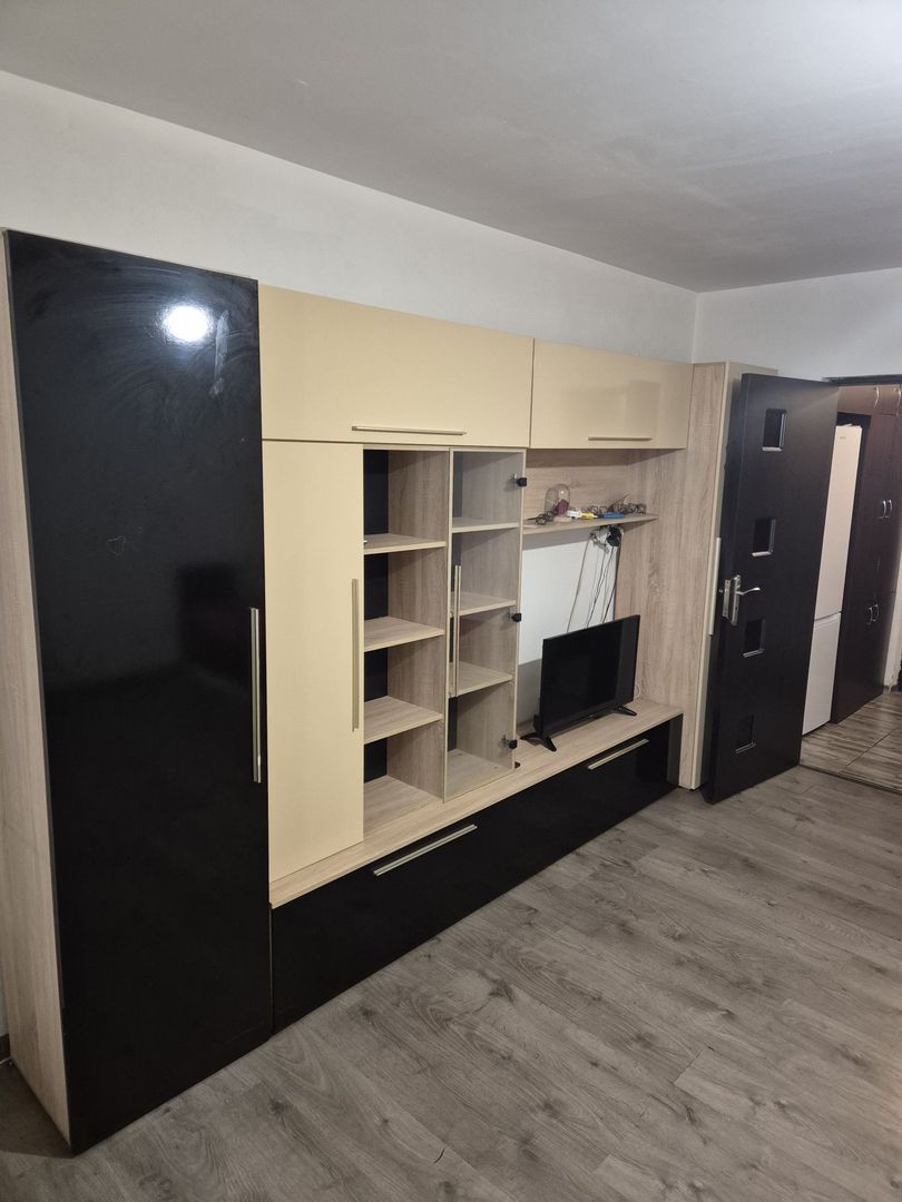 Garsoniera de închiriat- Brazdă lui Novac - Poză 2