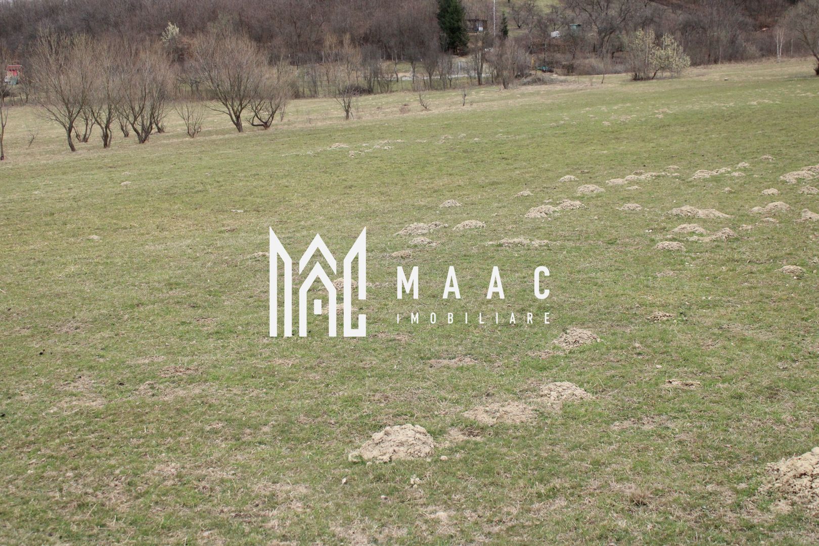 Pământ I Fereastră către Eternitate în  Transilvania - Poză 18