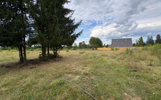 Teren intravilan de vanzare I 1990 mp I Valea Avrigului – lângă Cabana Aris - Poză 9