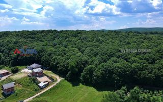 Vanzare teren 904 mp, Bascov, langa padure - Poză 7