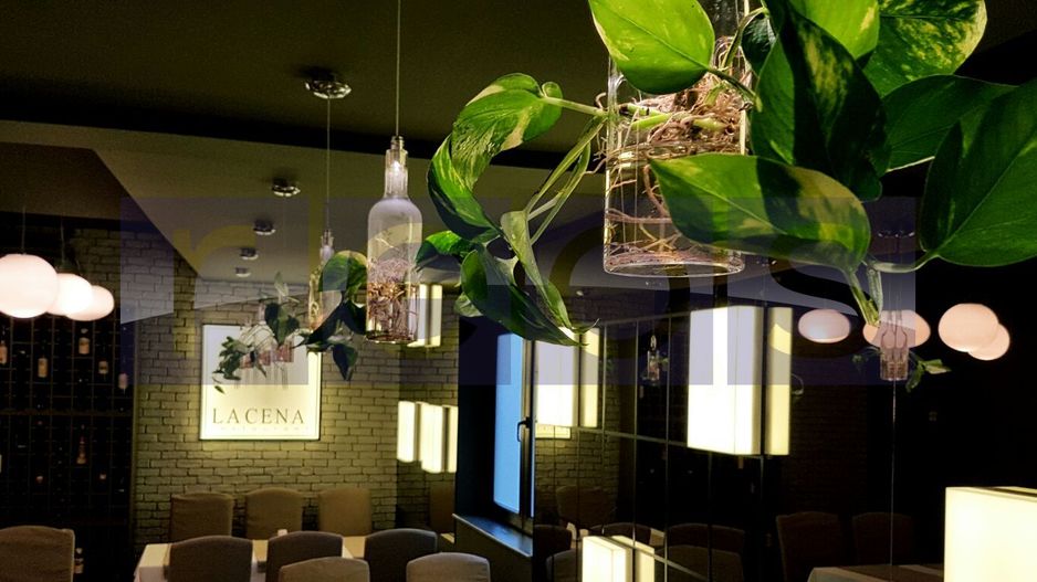 OPORTUNITATE | INCHIRIERE VILA | IDEAL RESTAURANT | GRADINA ICOANEI | - Poză 5