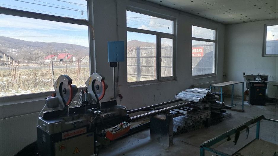 Vanzare hala atelier, stradal, Stalpeni - Poză 7