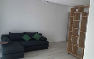 Apartament 2 Camere Bucium - 500 euro - Poză 3