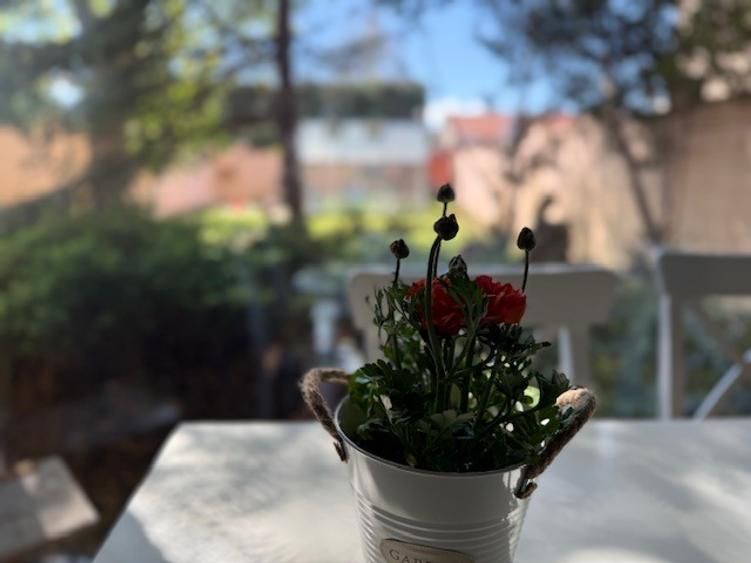 Braytim | 4 camere | 140 mp | Teren 337 mp | Garaj | Panouri FV - Poză 3