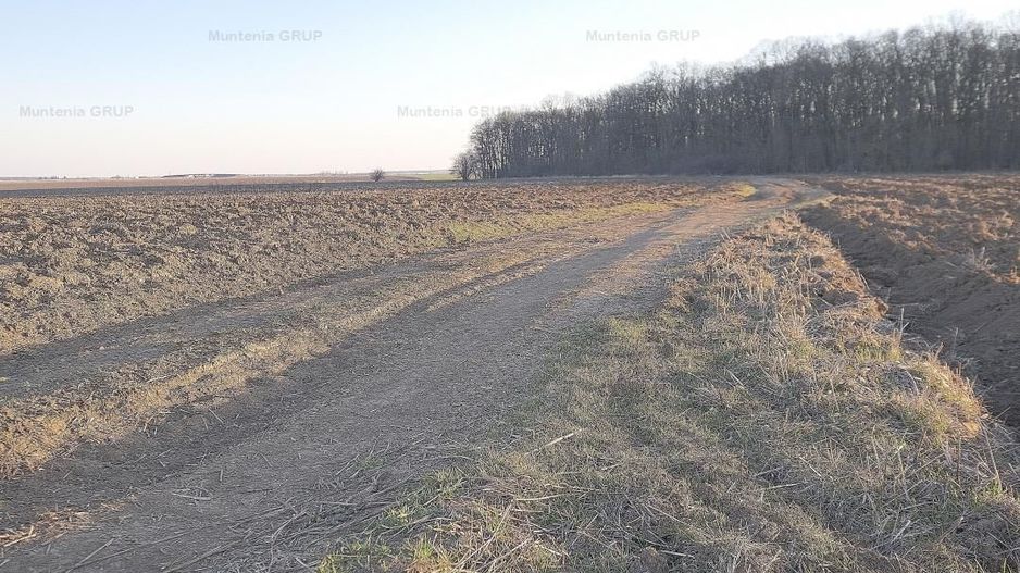 SNAGOV, langa Casa Vlasia, 3.500 mp. teren cu posibilitate pana la 7.000 mp. - Poză 5