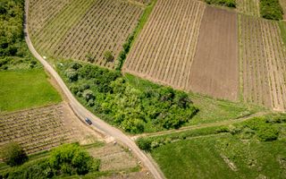 Teren extravilan - 3654 mp Dealul Șiriei - Poză 8