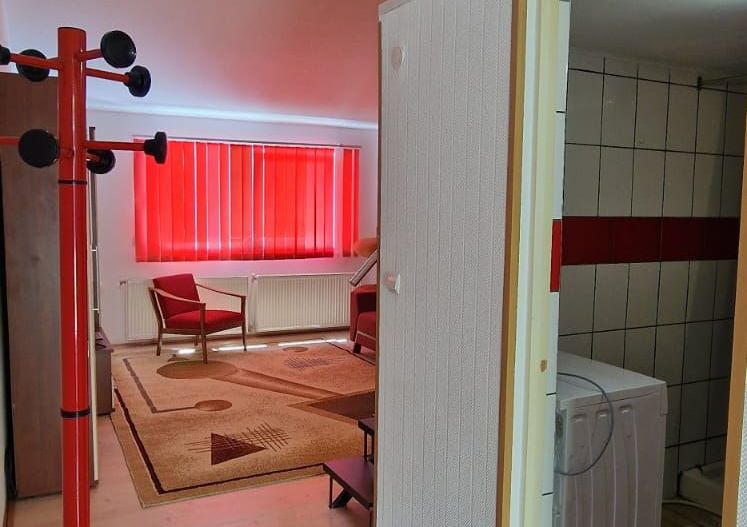 Apartament renovat cu o camera pe 2 nivele | Curte | Parcare | Grigorescu - Poză 9