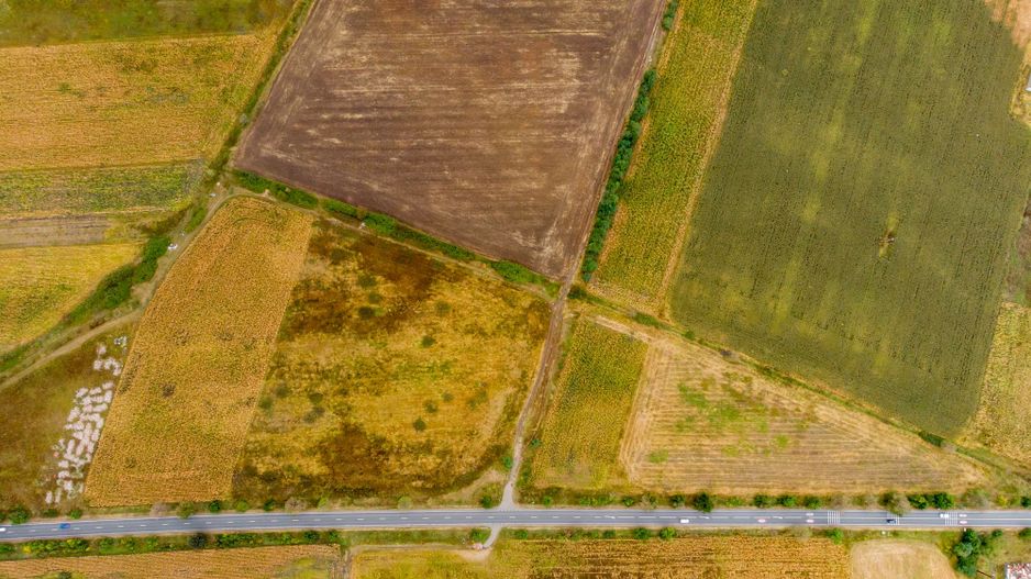 Teren de 19798mp în Zimandu Nou - Poză 8