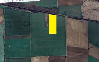 GRADISTEA - Sat Sitaru - Tarla 43, vanzare 22200 mp. teren agricol - Poză 2