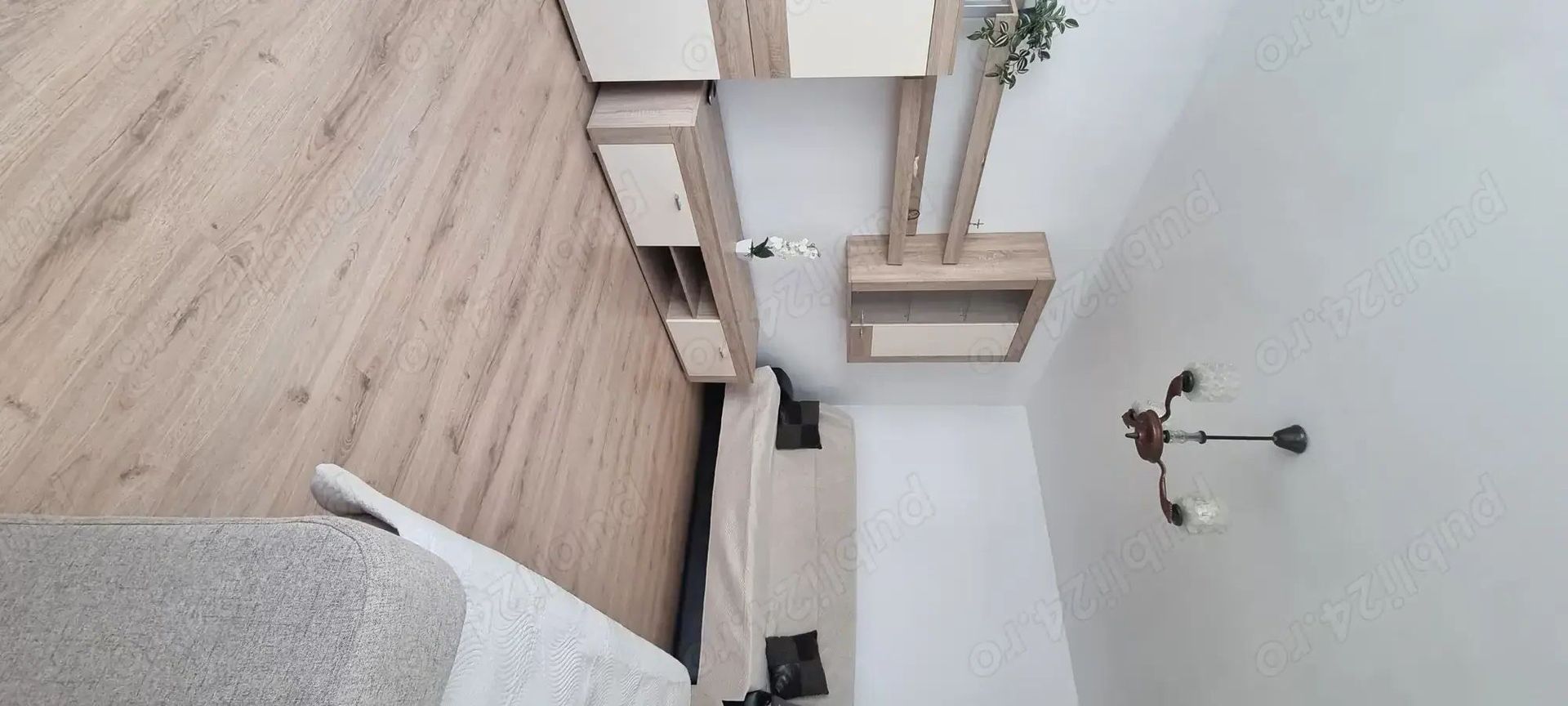 Petre Ispirescu Bârcă - Poză 3