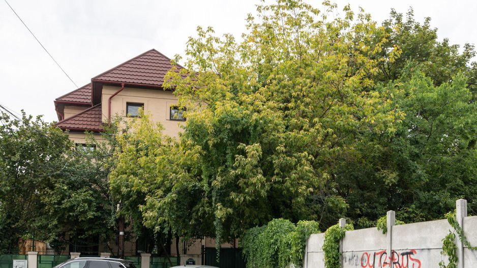 COMISION 0% - Vila 270 mp, teren 343mp renovata,  Floreasca - Stefan cel Mare - Poză 29