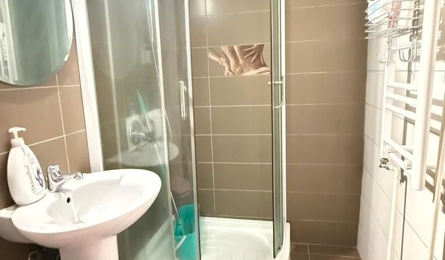 CASA INDIVIDUALA |  ZONA MOSILOR |  10 MIN METROU OBOR | - Poză 9