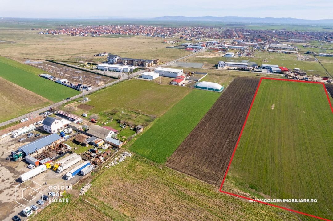 Teren extravilan, 20000 mp, Sanleani - Poză 2