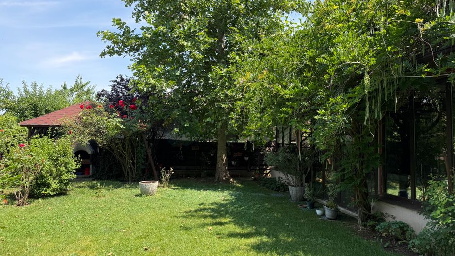 Casa pe parter Balotesti | Teren 600 mp - Poză 29