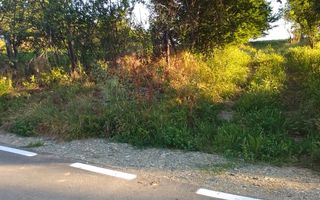 Teren intravilan 2.500 mp – Vieru, Giurgiu - Poză 3