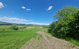 Teren extravilan 2 hectare Zona Sigmir - Poză 3
