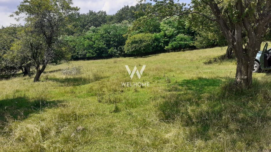 Teren Extravilan situat la intersectia DN1 cu Transfagarasan - Poză 3