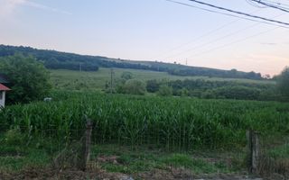 Teren intravilan 36 ari | Viile Teci | Strada Principală - Poză 3