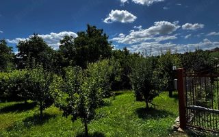 Teren Intravilan de Vânzare în Miroslava, Strada Veche 166 - Poză 5