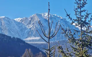Casa de vacanta la liziera padurii cu vedere libera catre muntii Bucegi - Poză 15