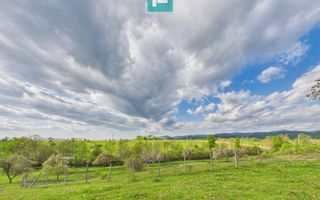 Casă cu teren de 17.681 mp, în loc. Hălmăgel, Arad - Poză 22
