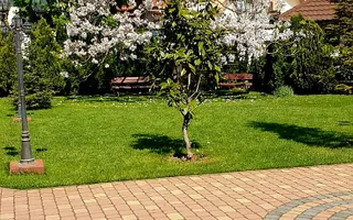 VILA CU 6 CAMERE IN COMPLEX REZIDENTIAL PE LANGA GRADINA ZOO - Poză 15