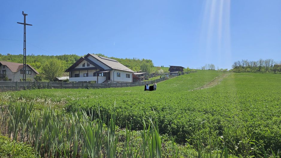 Vanzare teren intravilan, Calinesti, toate utilitatile - Poză 2