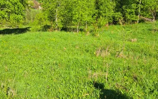Teren extravilan de vanzare, Bistrita Bargaului- 10 minute de Colibita - Poză 16