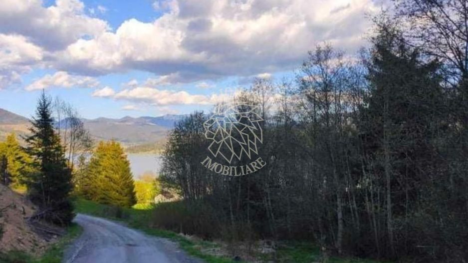 Teren intravilan 3200mp-parcelabil-panorama-Colibita-EXCULSIV - Poză 2