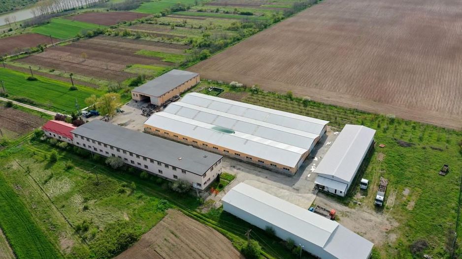 HALE INDUSTRIALE & PLATFORME BETONATE & TEREN INTRAVILAN 23500MP CRAIOVA - Poză 3