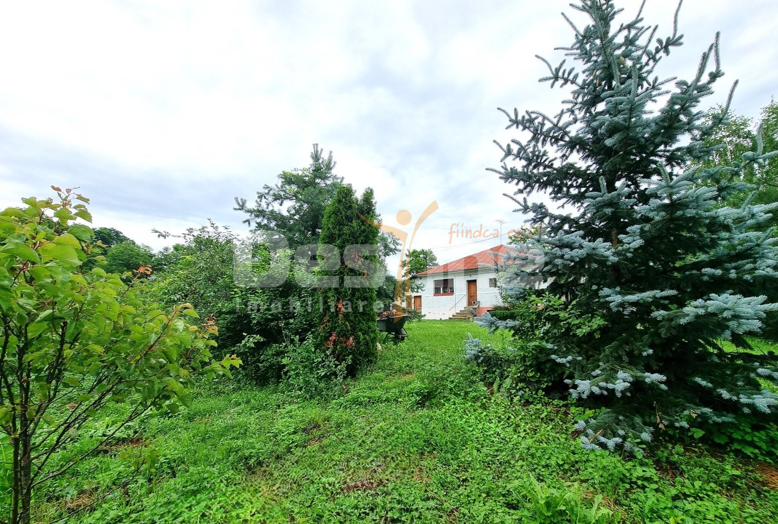 Casa din Caramida + 4000 mp teren  central Drajna Ogretin! - Poză 13