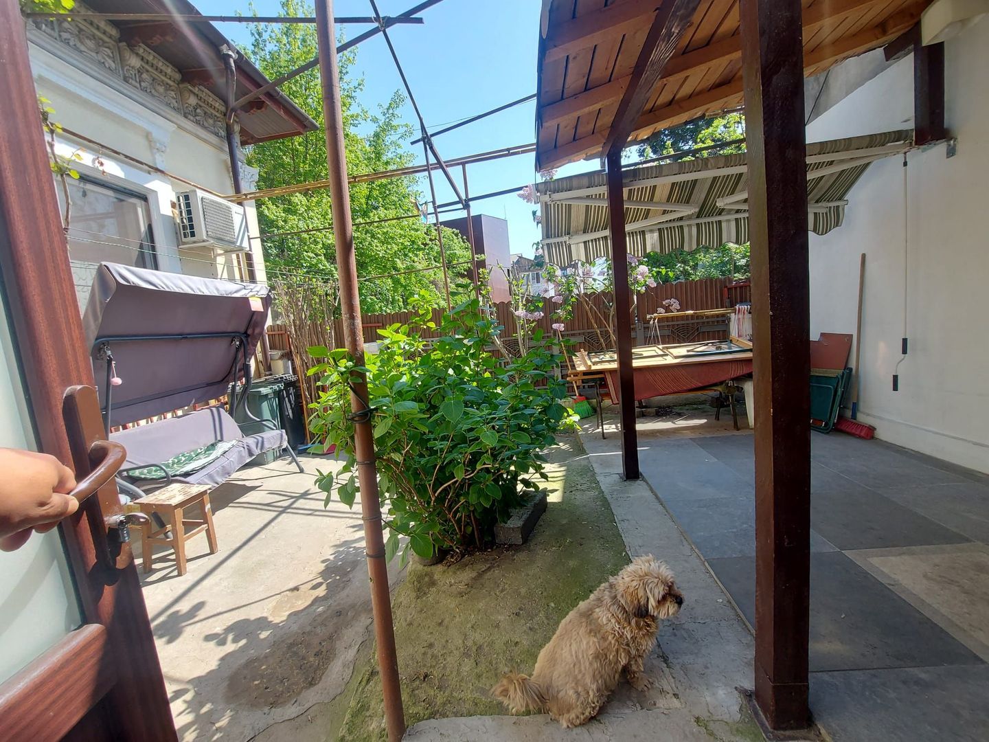 Casa curte / 2 camere / Banu Manta / Titulescu / Primăria sectorului 1 - Poză 6