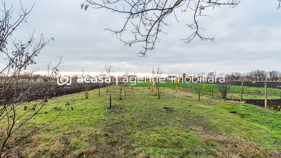 Casă + livadă tânără + curte 2.500 mp în Dorobanți - Poză 3
