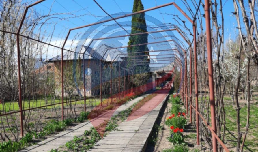 Casa de vanzare/Balcesti/Valcea/Str Pietii - Poză 16