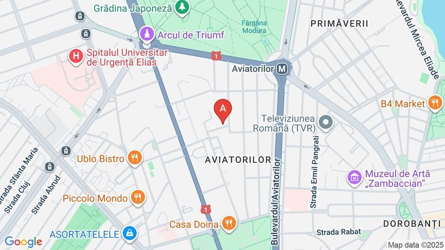 Apartament de inchiriat | 2 camere |  terasă 31 mp | Kiseleff - Poză 10