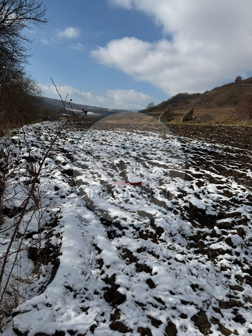 Teren Intravilan,Sanmartin CJ - Poză 4